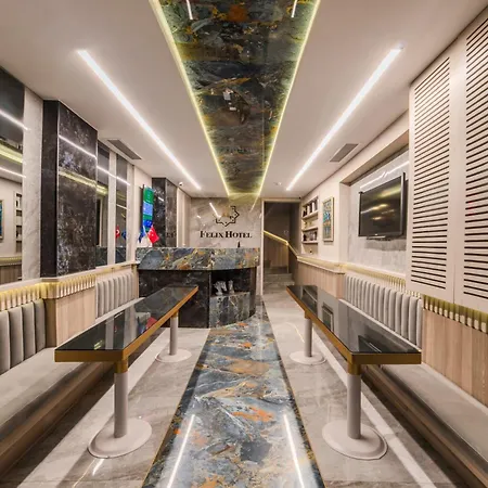 Felix Hotell Istanbul